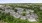 aerial view of buildings and trees